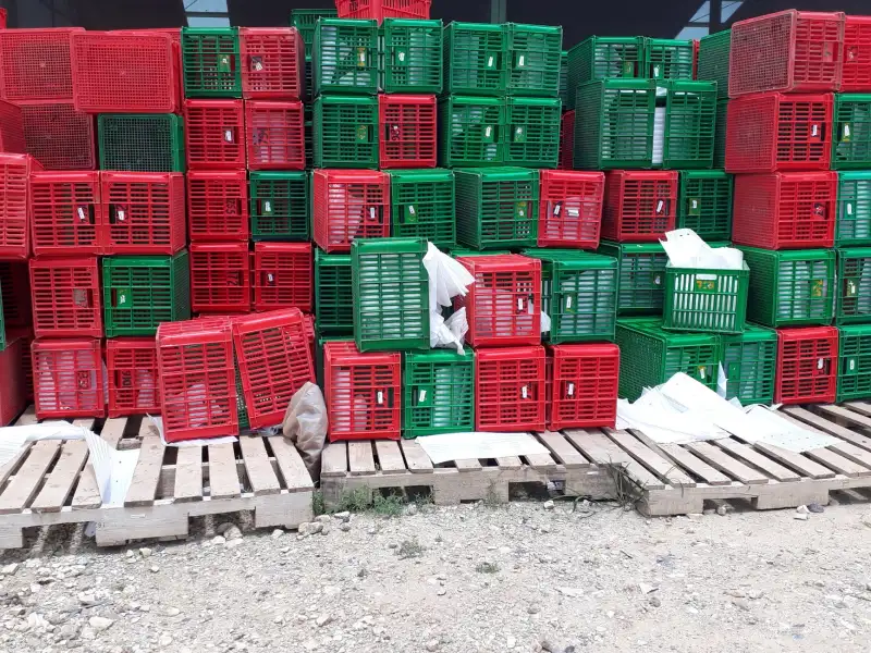 重庆工业托盘厂家解析：高强度塑料托盘承载性能与选型要点正文配图 1