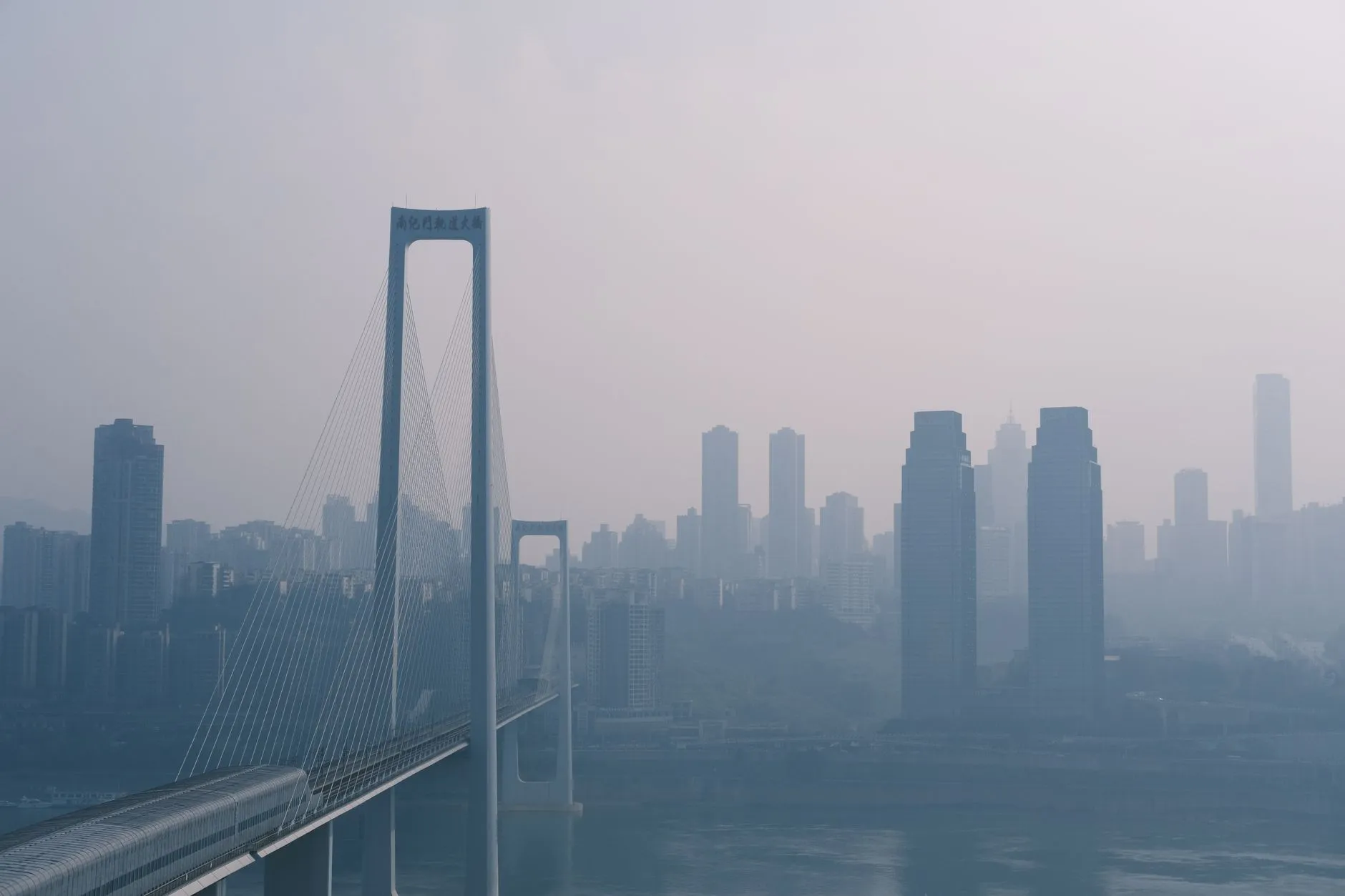 2025年工业托盘行业新标准解读：如何提升仓储管理合规性