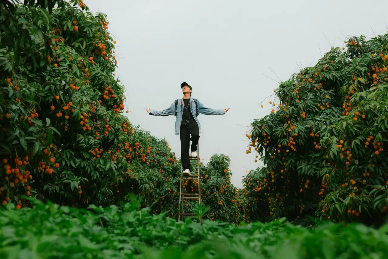重庆安云途工业托盘与周转筐承载性能对比分析