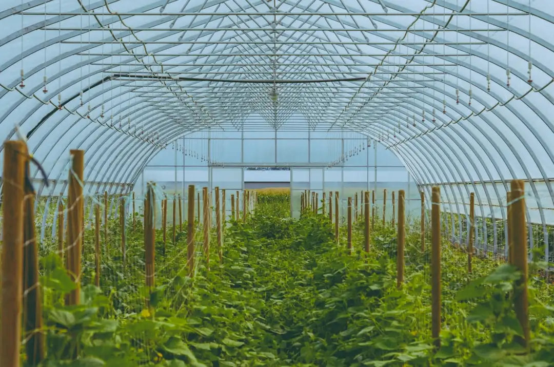 塑料周转筐在产线物料周转中的实际应用案例